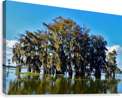 Waterways Canvas Print