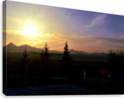 Another Look Canvas Print