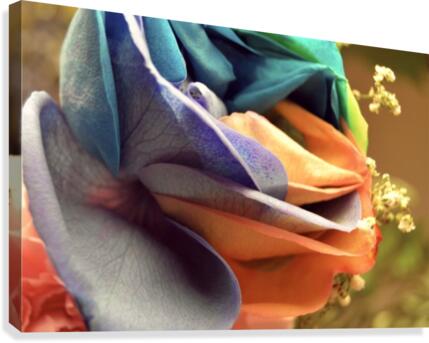 Sharp Canvas Print