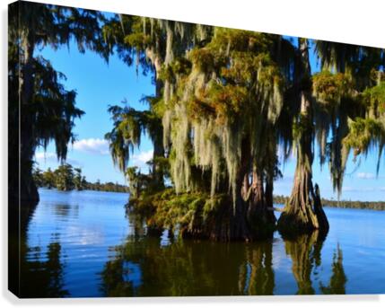 Rock Bottom Canvas Print