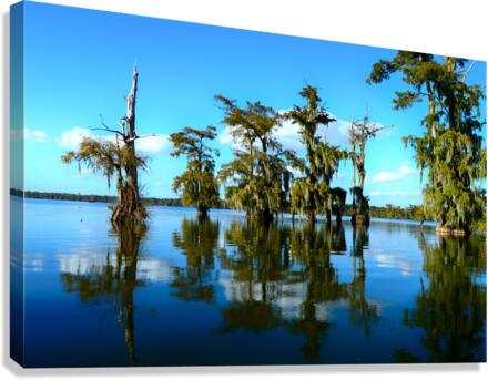 Reflect Much Canvas Print