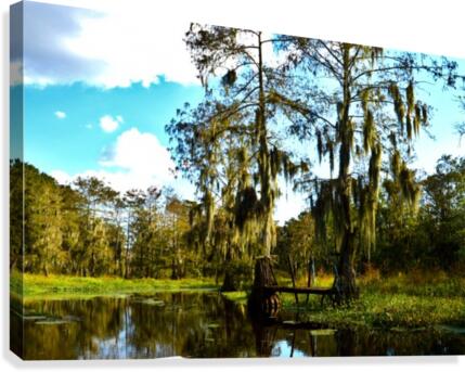 Dock Canvas Print
