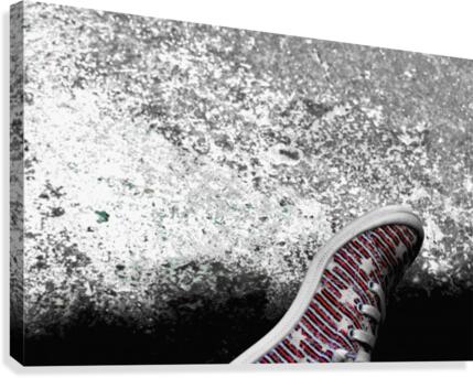 Shoes On Canvas Print