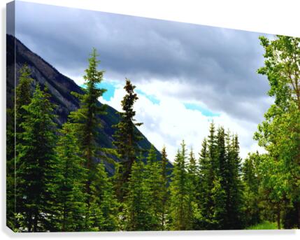 Perspective Approves Canvas Print