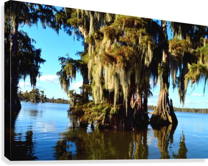 Perfect Nook Canvas Print