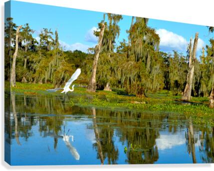 Glide With Me Canvas Print