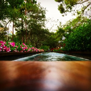 Watercolor flower bed