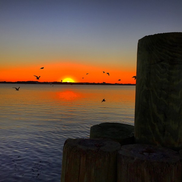 Marina Sunset Print