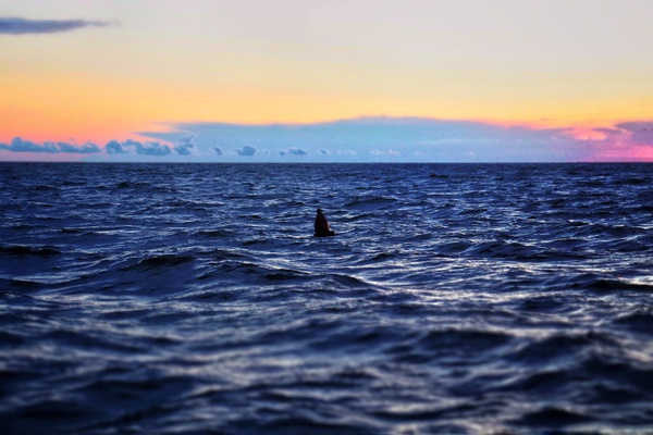 Out To Sea by Luminous Pixels Photography 