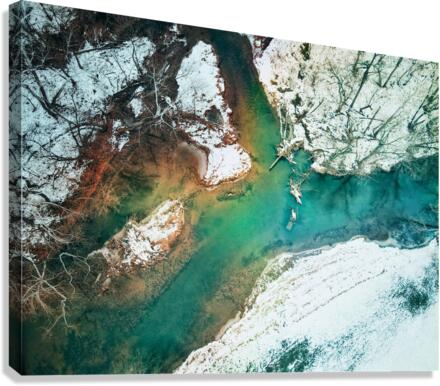 Luminous winter Canvas Print