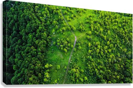 Green Canvas Print