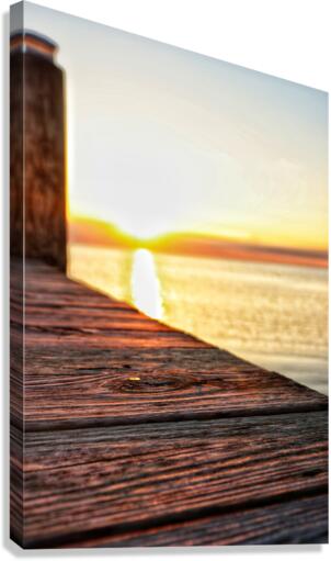 Grain Canvas Print