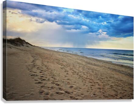 Alone Canvas Print