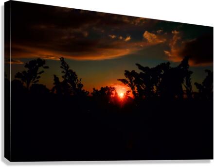 Peak Canvas Print