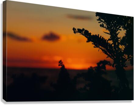Orange Canvas Print
