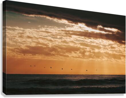 Flight Canvas Print