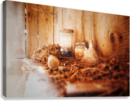 Left In Time Canvas Print