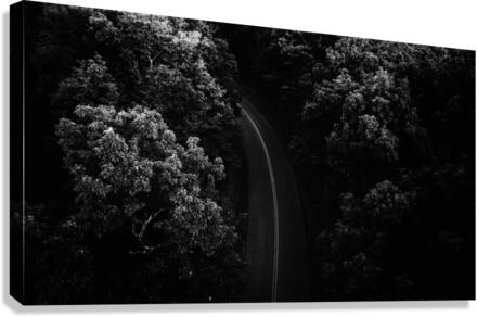 Road Ahead Canvas Print