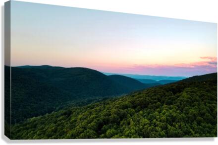 Never Leave Canvas Print