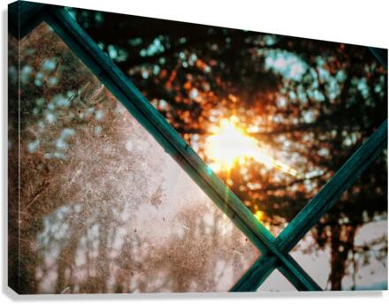 Pane Canvas Print