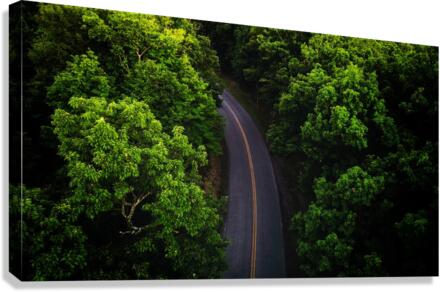 Passage Canvas Print
