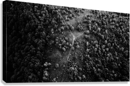 Trails Canvas Print