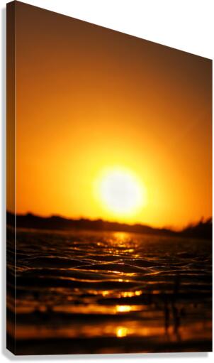 Fin sun Canvas Print