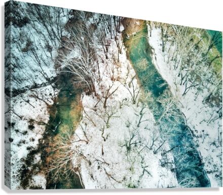 Twin Pixels Canvas Print