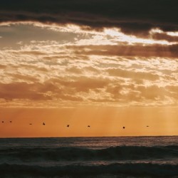 Flight