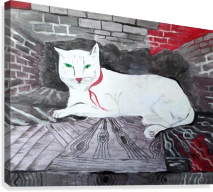 White cat Canvas Print