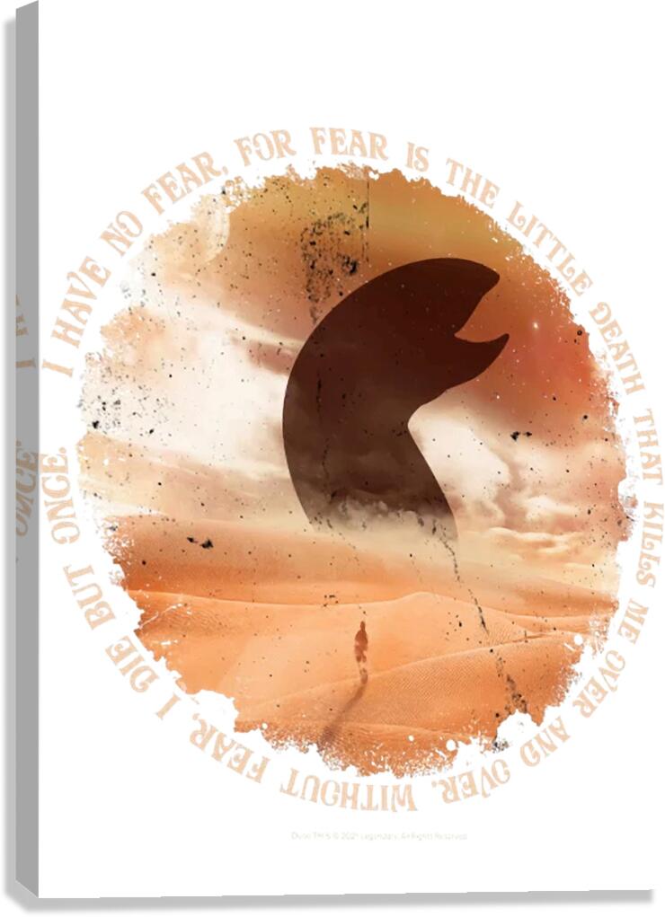 Dune 5 Canvas Print