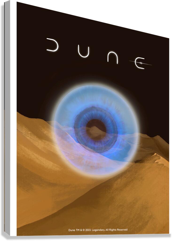 Dune 8 Canvas Print