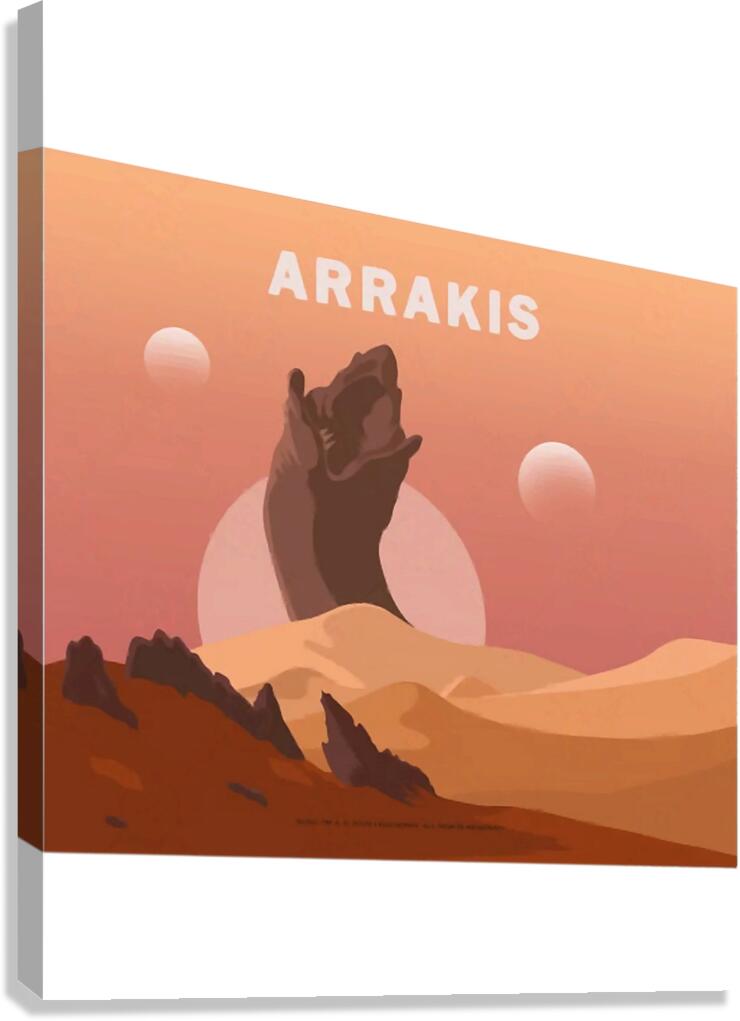 Dune 15 Canvas Print
