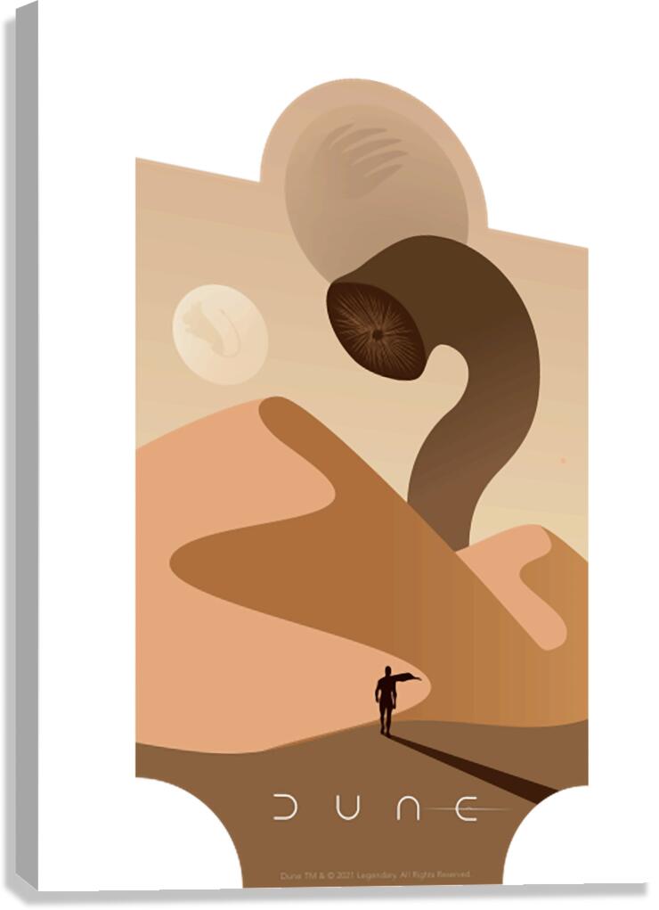 Dune 29 Canvas Print
