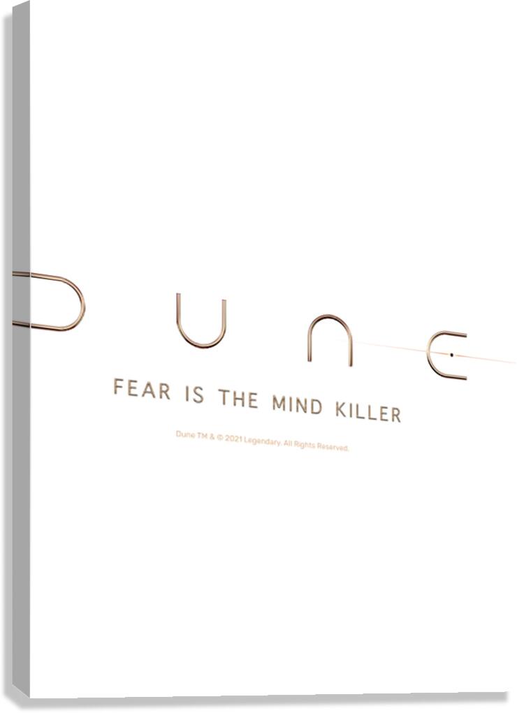 Dune 40 Canvas Print