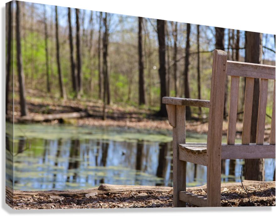 Nature’s View Canvas Print