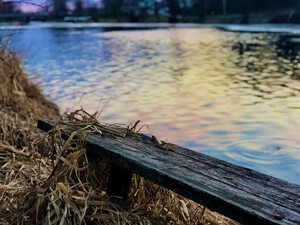 Springside Park Sunset