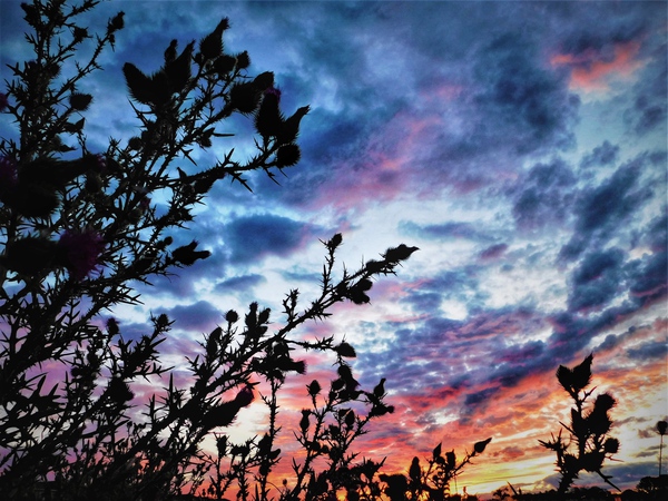 Colourful Sky by Mel Green Photography