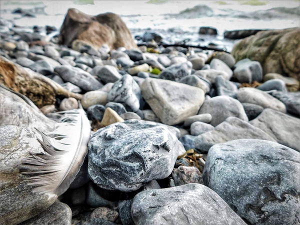 Rocky Shores by Mel Green Photography