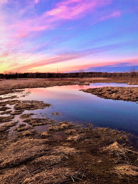 Sunset Skies by Mel Green Photography
