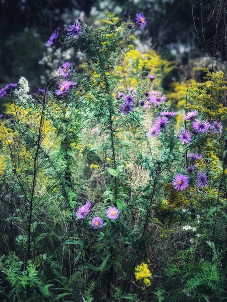 Bouquet Haze by Mel Green Photography