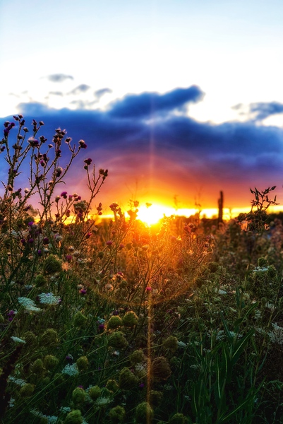 Sunset Horizon by Mel Green Photography