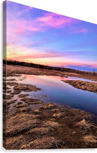 Sunset Skies Canvas Print