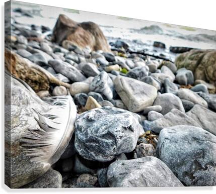 Rocky Shores Canvas Print