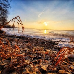 Crisp Morning - Bay of Quinte