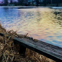 Springside Park Sunset