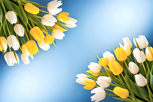 Spring flowers background