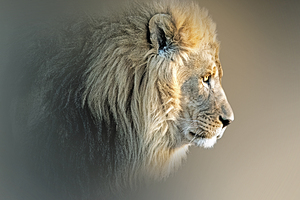 Roar of the Redeemer