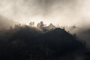 Mountain Mist