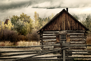 Shelter from the Storm